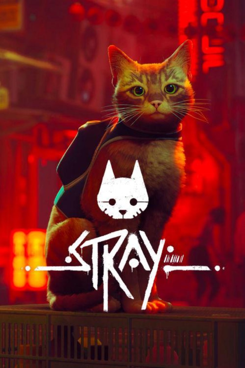 Capa de Stray